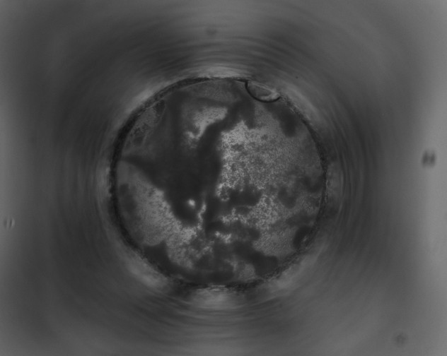 X0000102530351200808081457