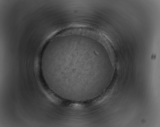 X0000102530352200808081457