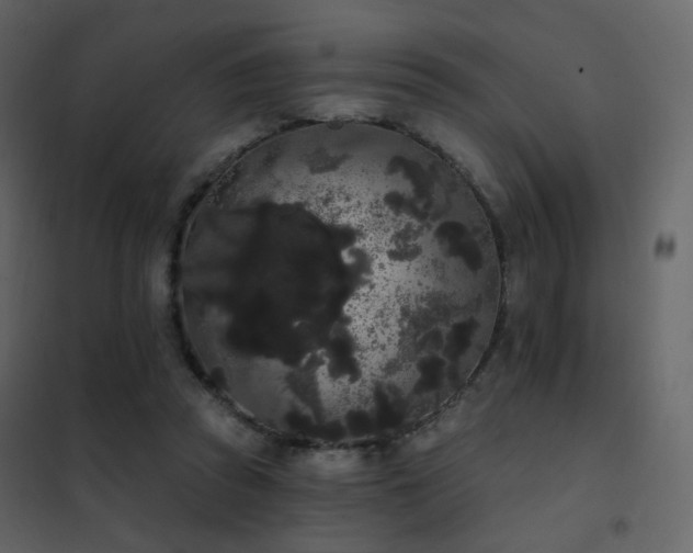X0000102530353200808081457