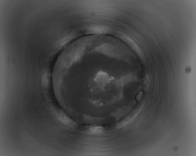 X0000102530355200808081457