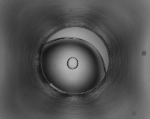 X0000102530356200808081457