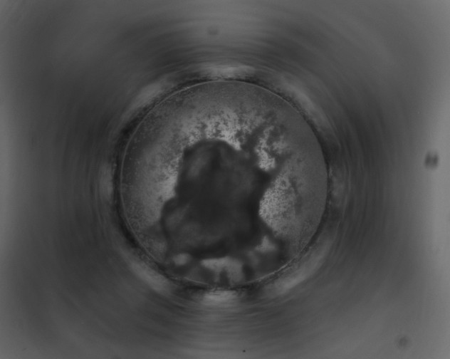 X0000102530357200808081457