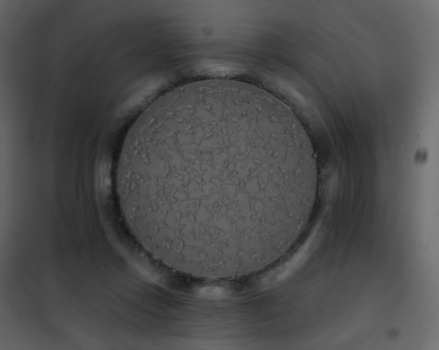 X0000102530358200808081457