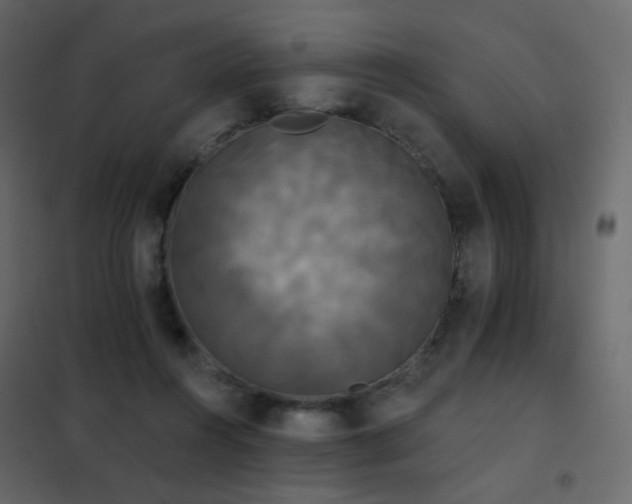 X0000102530360200808081457