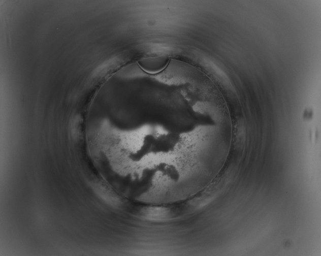 X0000102530361200808081457