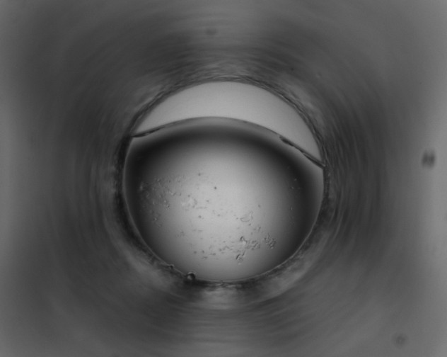 X0000102530362200808081457