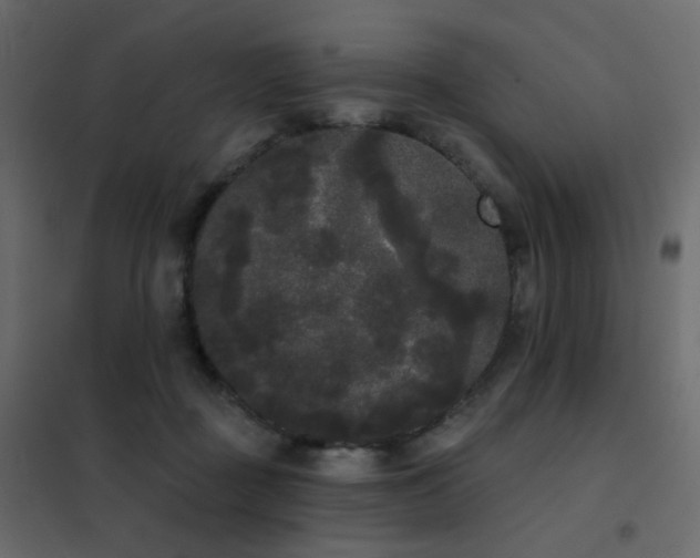 X0000102530363200808081457