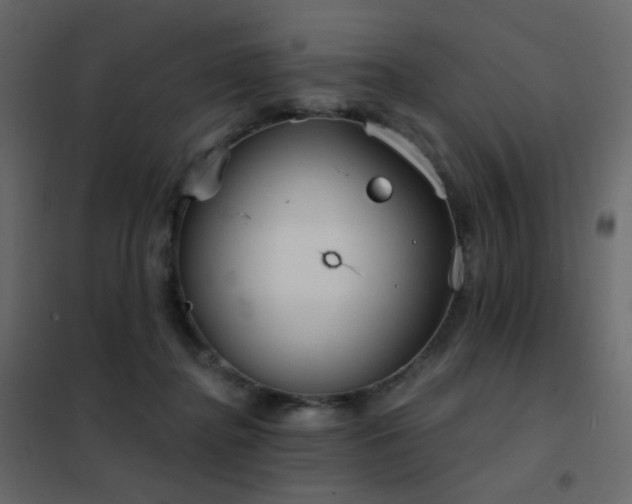 X0000102530364200808081457