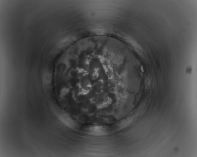 X0000102530365200808081457