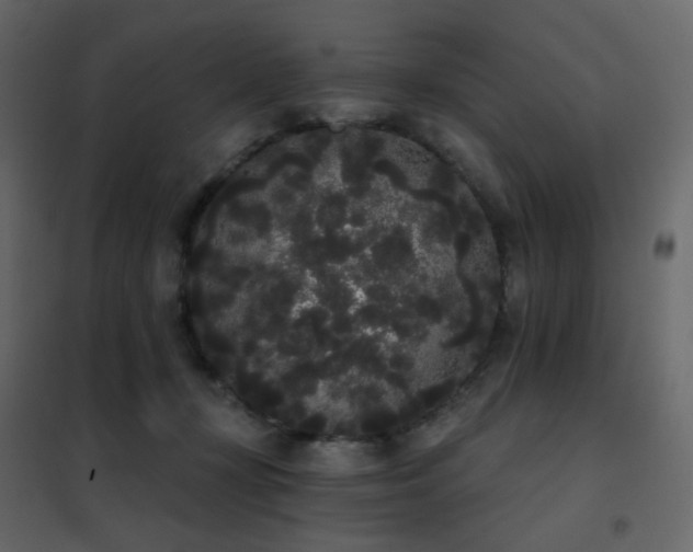 X0000102530367200808081457