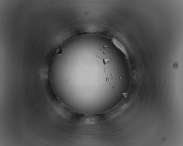 X0000102530368200808081457