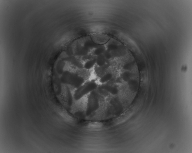 X0000102530369200808081457