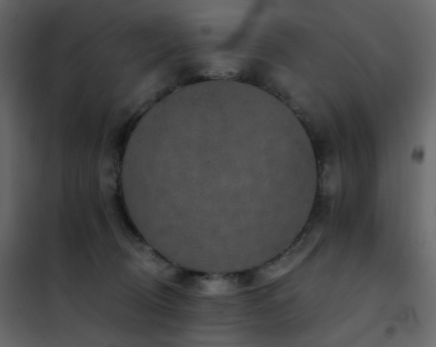 X0000102530370200808081457