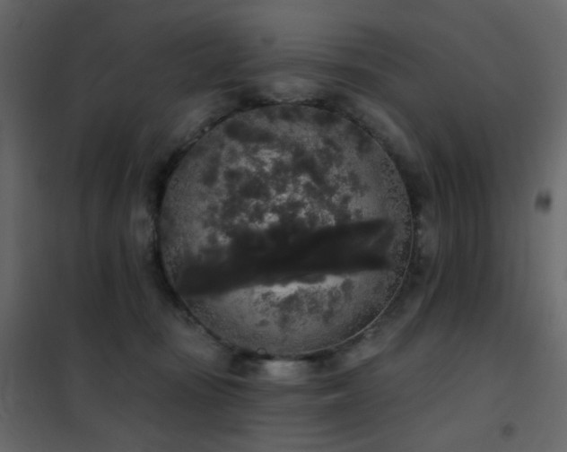 X0000102530371200808081457