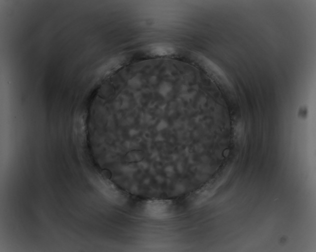X0000102530373200808081457