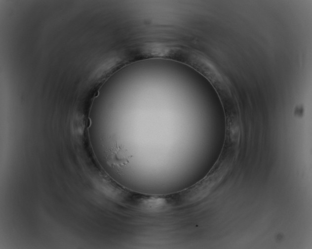 X0000102530374200808081457