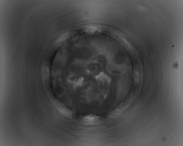 X0000102530375200808081457