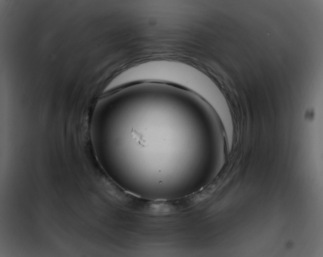 X0000102530376200808081457