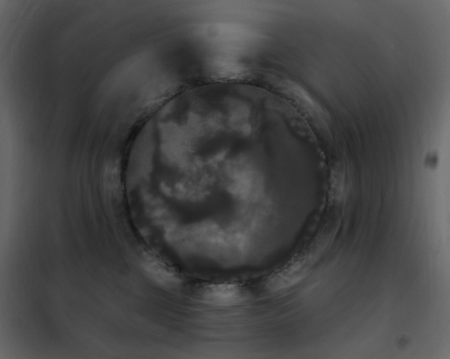 X0000102530377200808081457