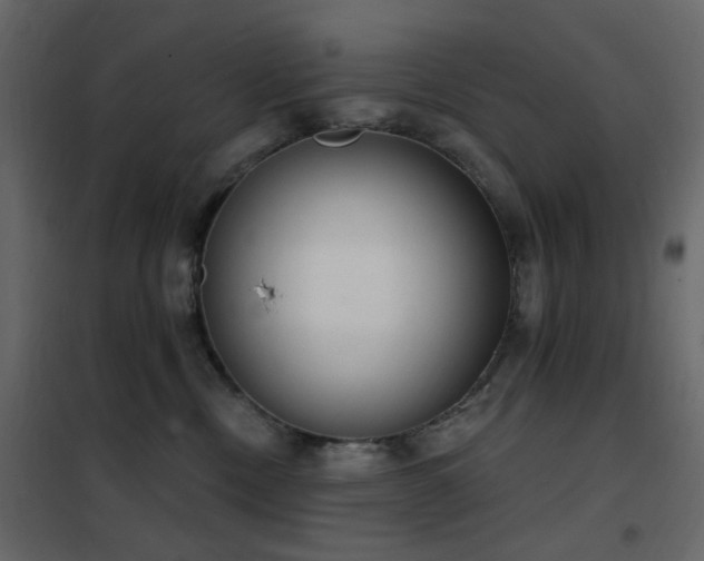 X0000102530378200808081457