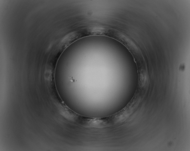 X0000102530379200808081457