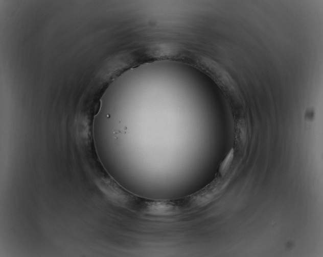 X0000102530380200808081457