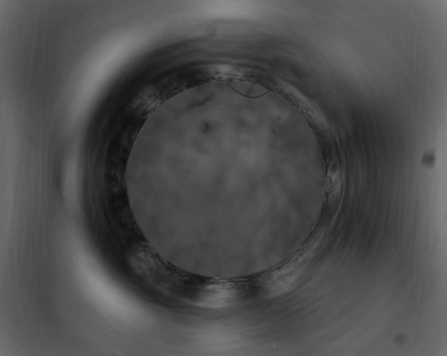 X0000102530381200808081458