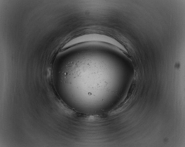 X0000102530382200808081458
