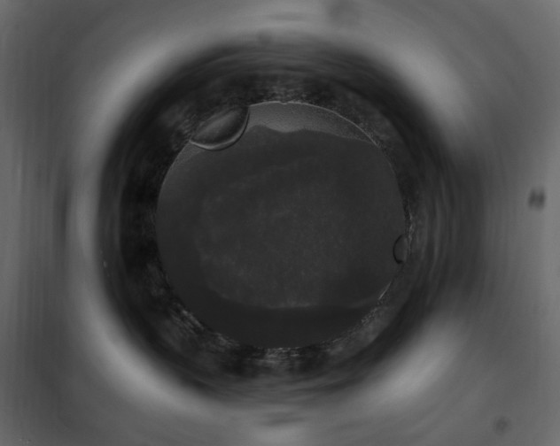 X0000102530383200808081458