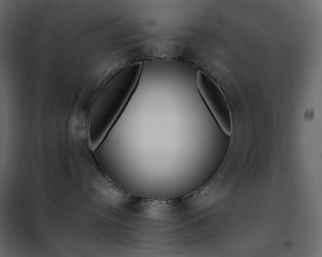 X0000102530384200808081458