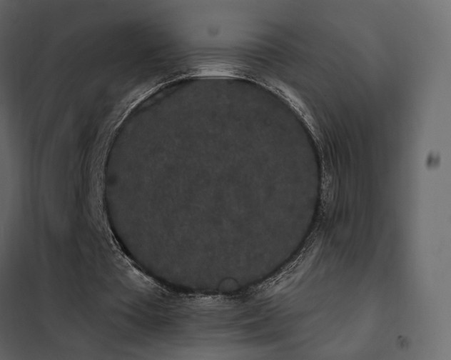 X0000102530385200808081457