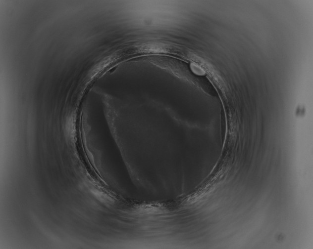 X0000102530386200808081457