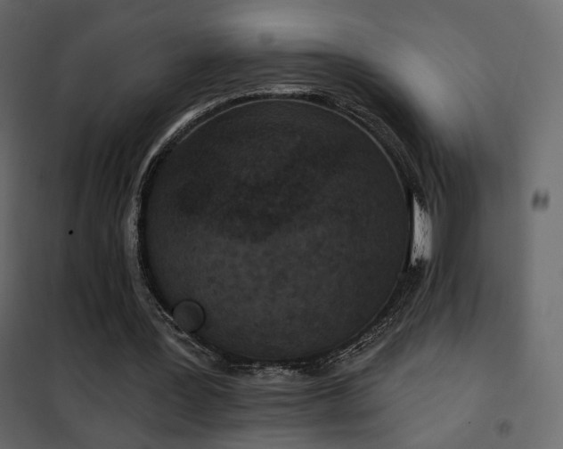 X0000102530387200808081457