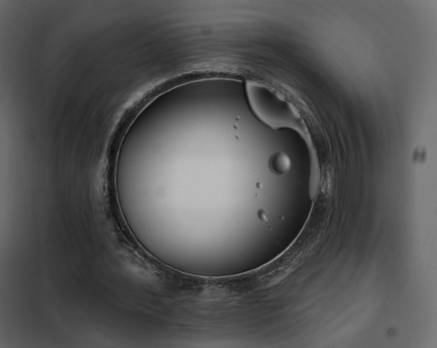 X0000102530388200808081457