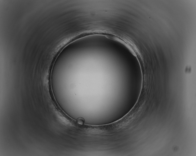 X0000102530389200808081457