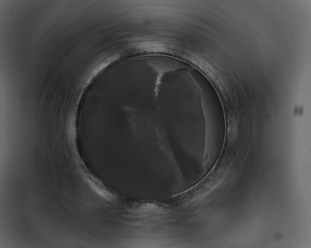 X0000102530390200808081457
