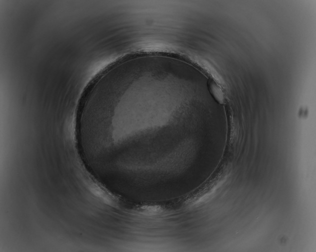 X0000102530391200808081457