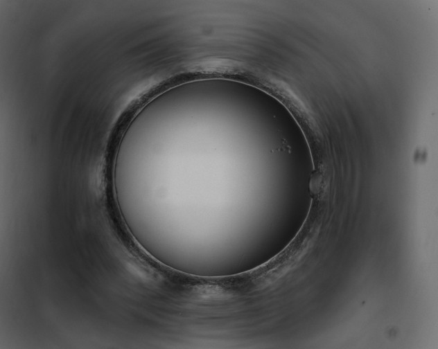 X0000102530392200808081457