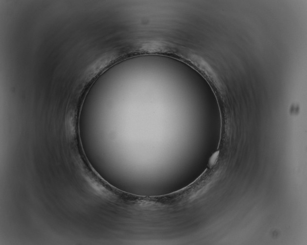 X0000102530393200808081457