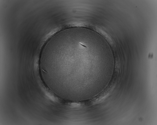 X0000102530394200808081457