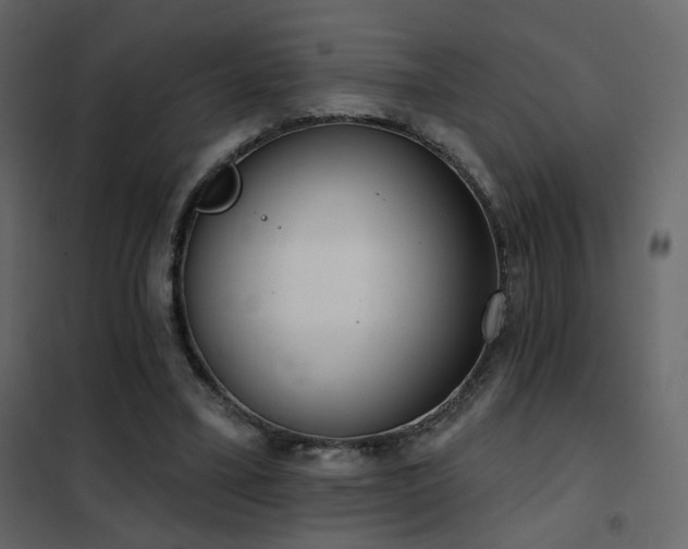 X0000102530395200808081457