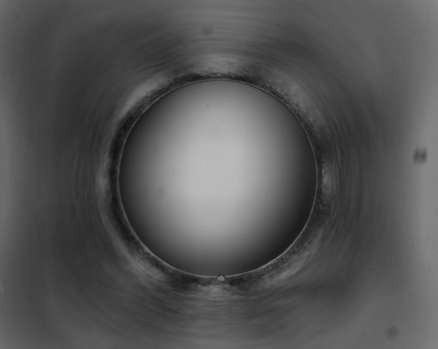 X0000102530396200808081457