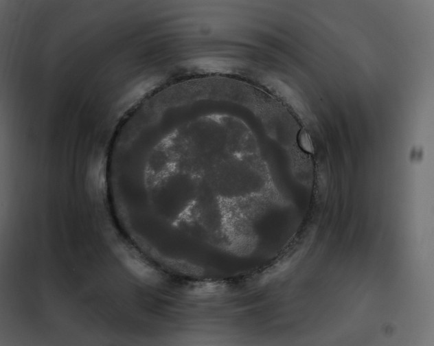 X0000102530398200808081457