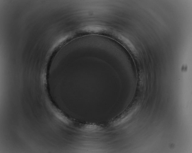 X0000102530399200808081457