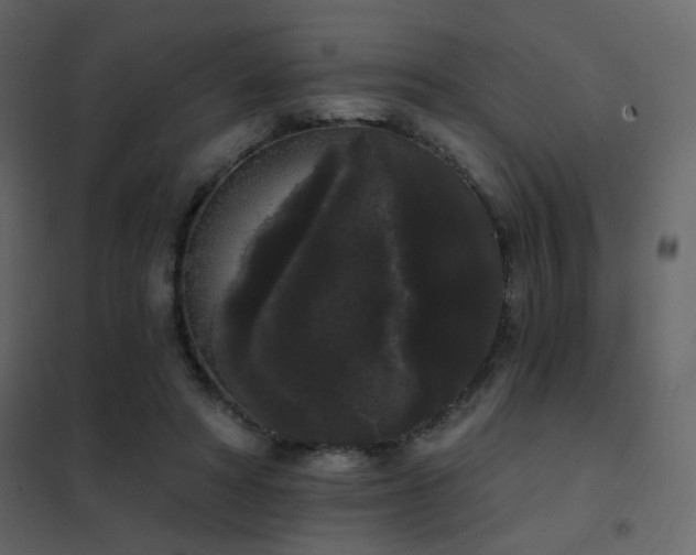 X0000102530402200808081456