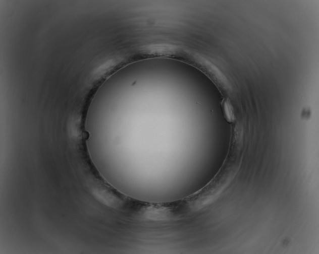 X0000102530403200808081456