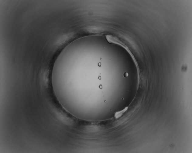 X0000102530404200808081456
