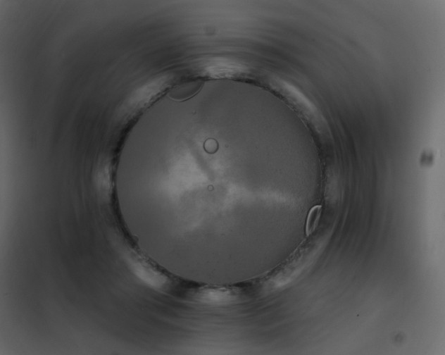 X0000102530405200808081456
