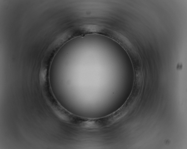 X0000102530406200808081456