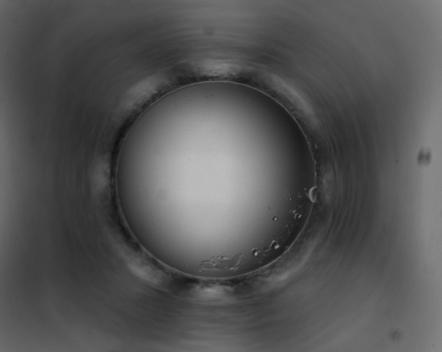 X0000102530407200808081456